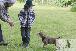 Welpen  24.05.2025 54